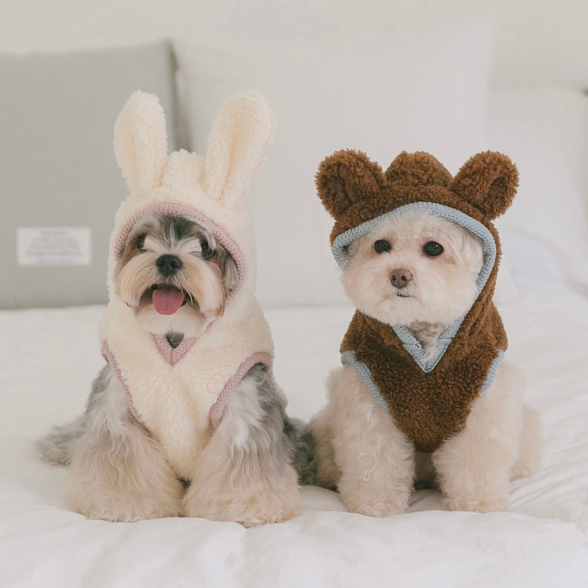 S__32145433_0_db64dfb9-ded4-