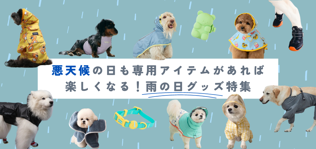 犬との雨の日や雪の日、梅雨の日や夜のお散歩やお出かけなどが安全でおしゃれになる可愛い犬用グッズ（犬用品）の特集ページ