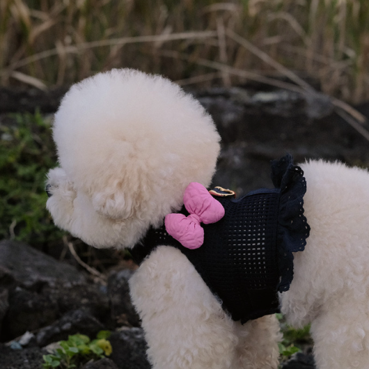 海外犬服 高品質なインポートのドッグウェア通販 