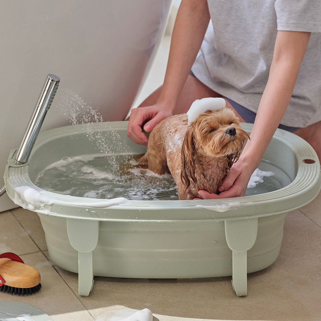 海外犬服 高品質なインポートのドッグウェア通販【heytail】2step Foldable Bath Tub URBAN DOG TOKYO