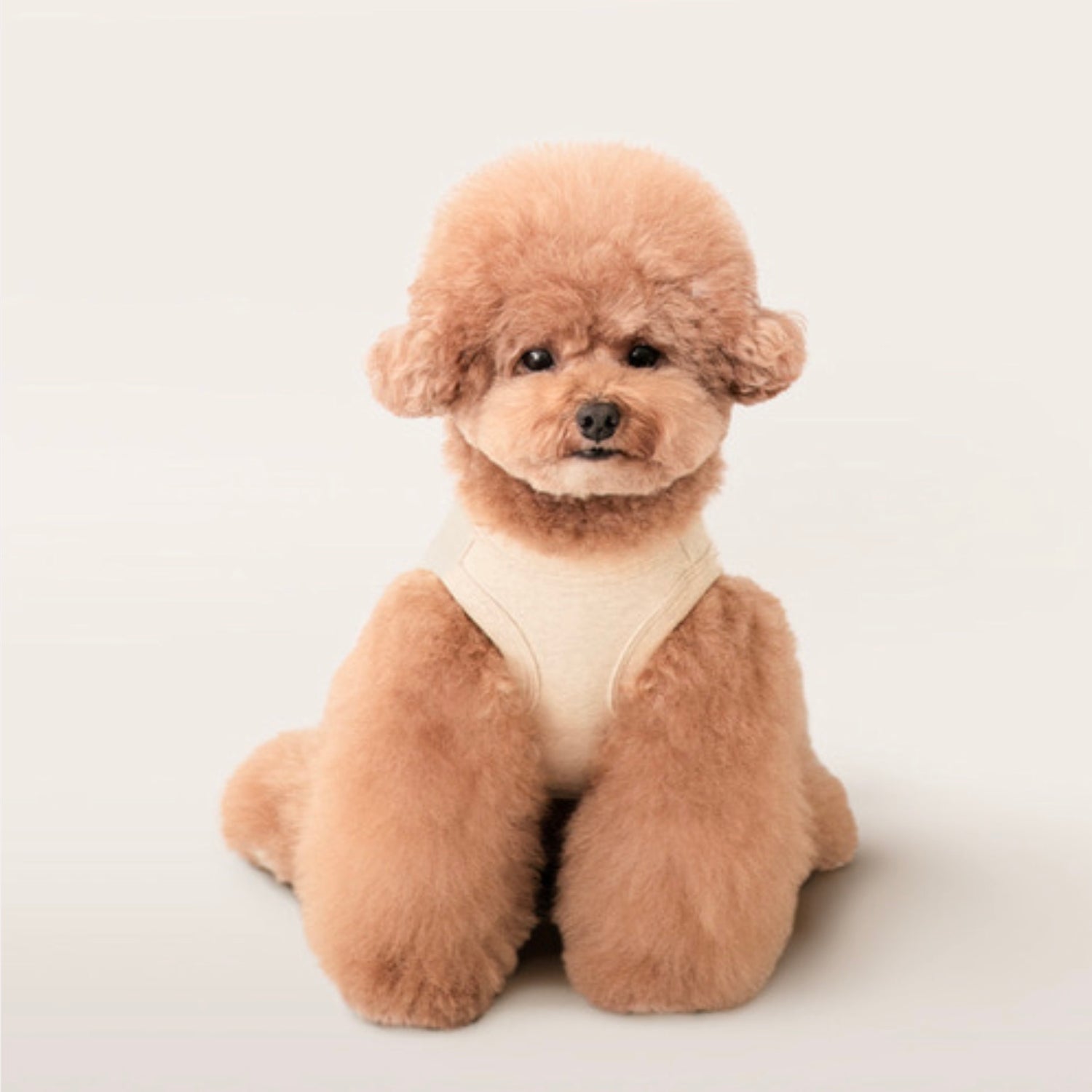 即納【BITE ME】Mochi Sleeveless(6colors)