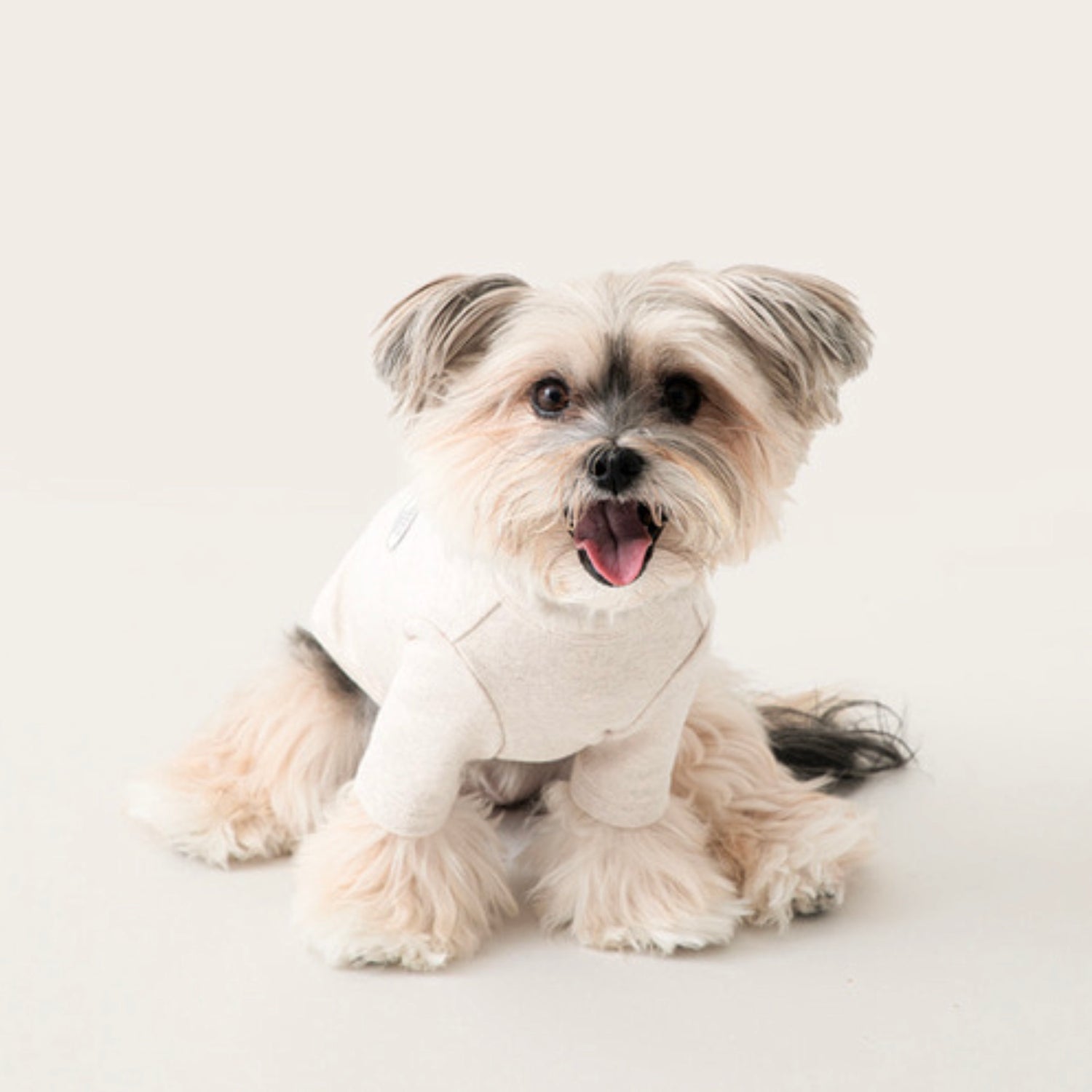 即納【BITE ME】Mochi T-shirts (6colors)