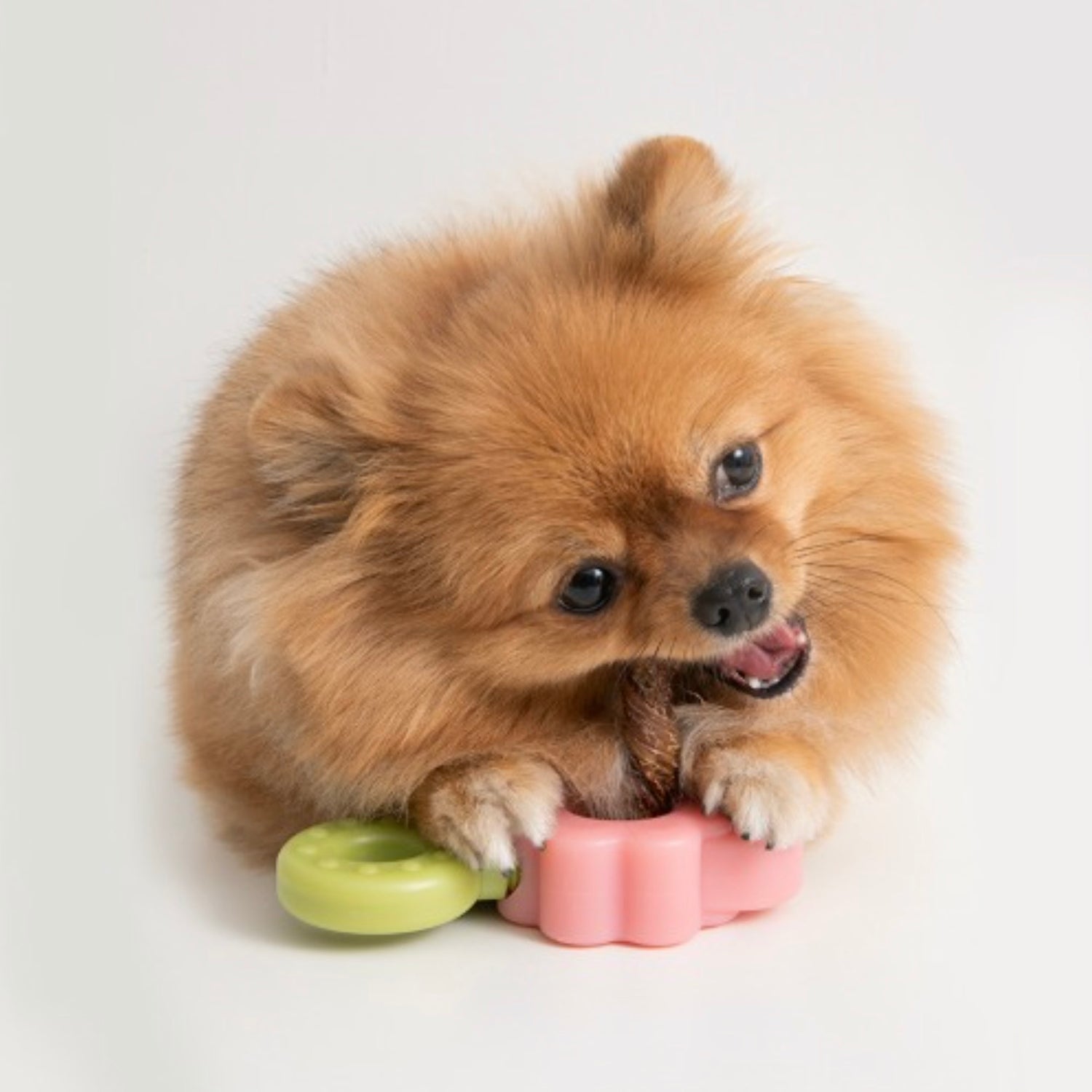 即納【BITE ME】Easy Bite Grip(2colors)