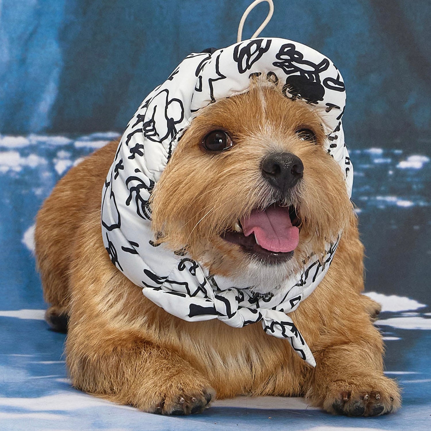 ※予約販売【munikund】munikund × INAPSQUARE Thermal Up Padding Air Cap 2 - INAP(2 Colors)