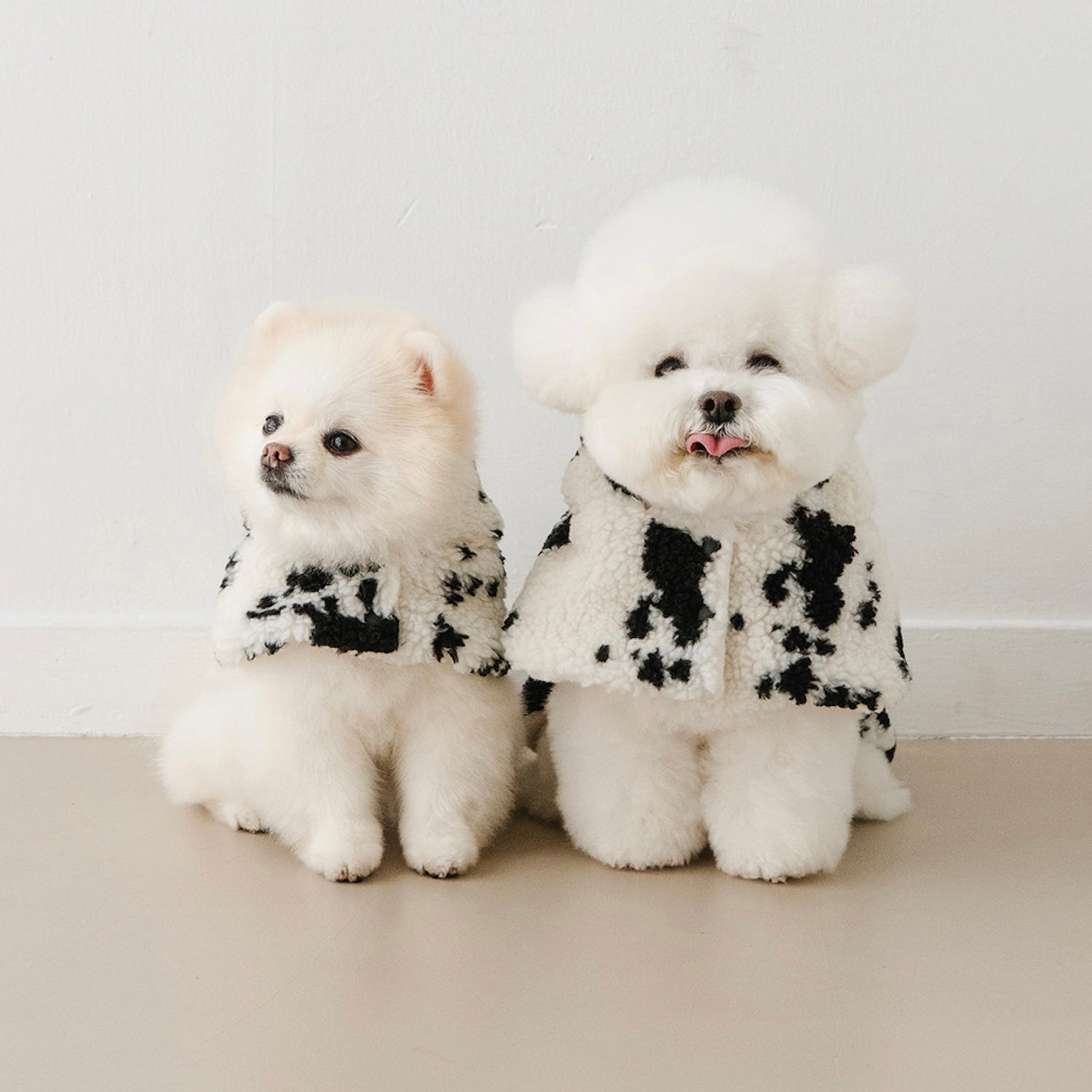 即納【noutti】Dalmatian Poncho(Black)