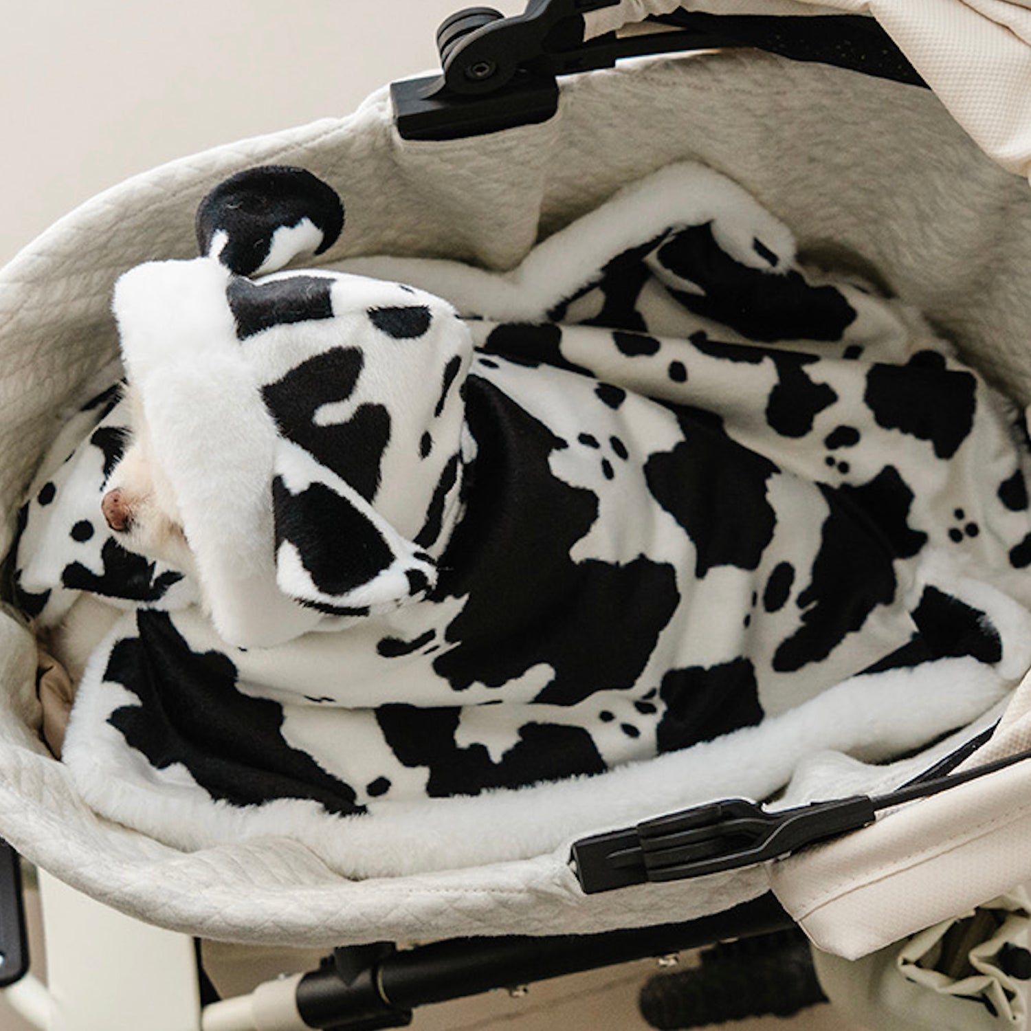 即納【noutti】Cow Cape Blanket