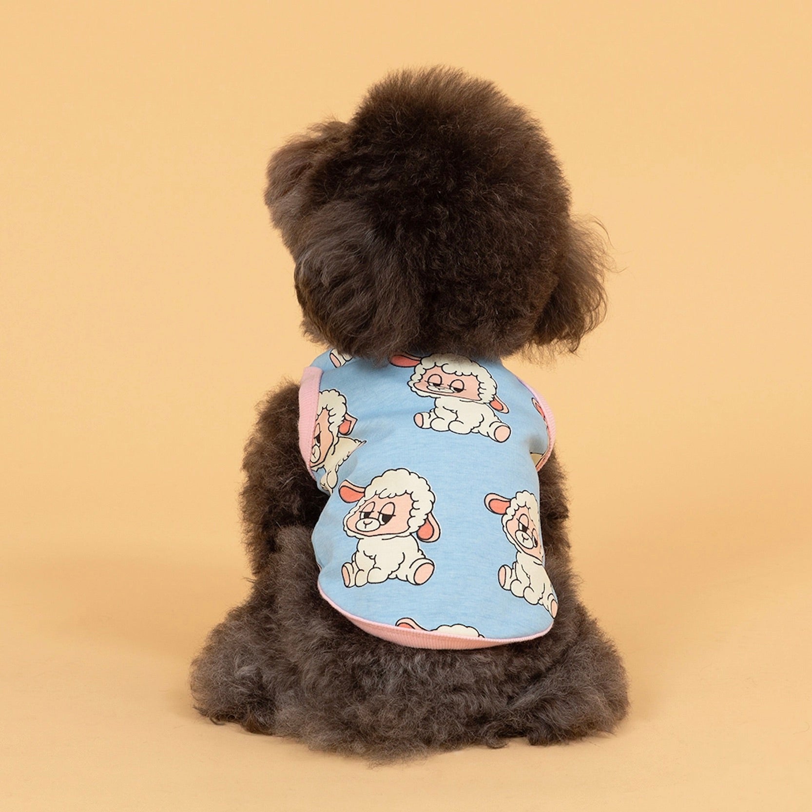 海外犬服 高品質なインポートのドッグウェア通販 