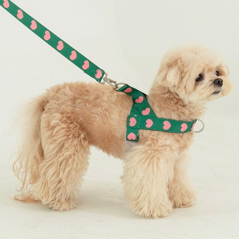 海外犬服 高品質なインポートのドッグウェア通販 