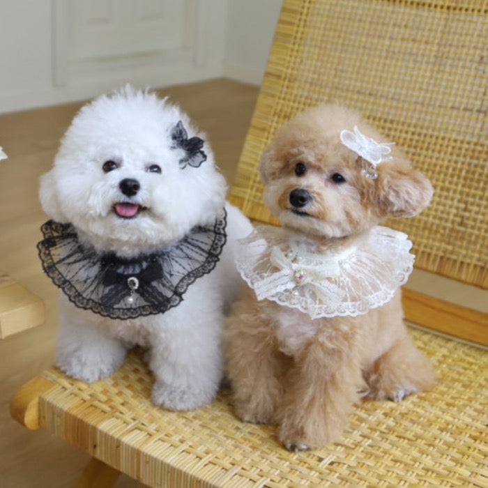 海外犬服 高品質なインポートのドッグウェア通販 