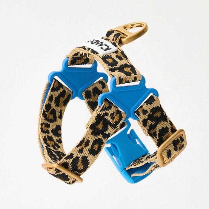 即納【iCANDOR】No-Pull Harness(LEOPARD)