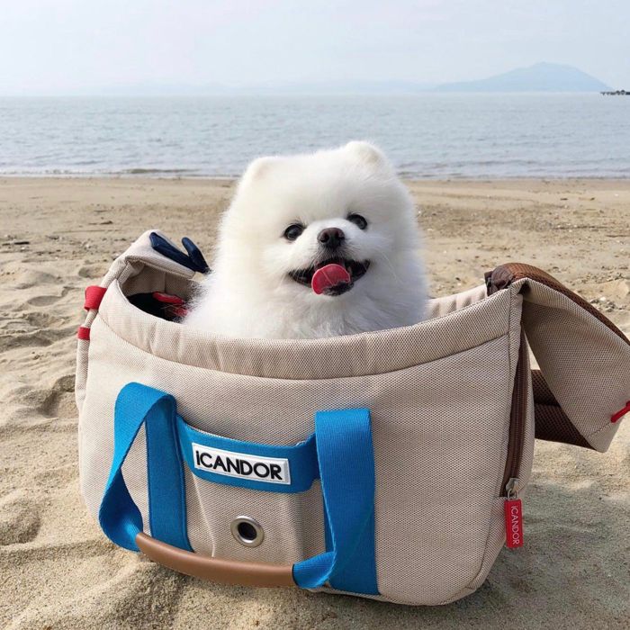 即納【iCANDOR】PEEK-A-BOO BAG(Melting Cream)