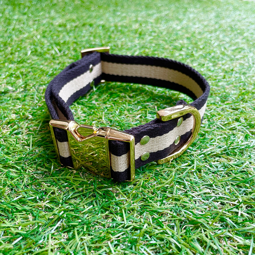 ※予約販売【HOSU】HOSU stripe dog collar(30mm)/Black×Ivory