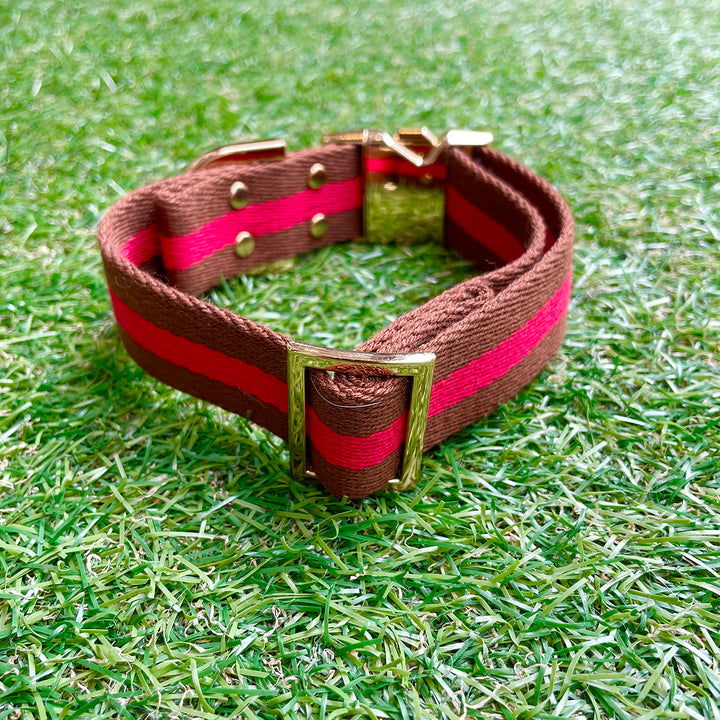 ※予約販売【HOSU】HOSU stripe dog collar(30mm)/Red×Brown