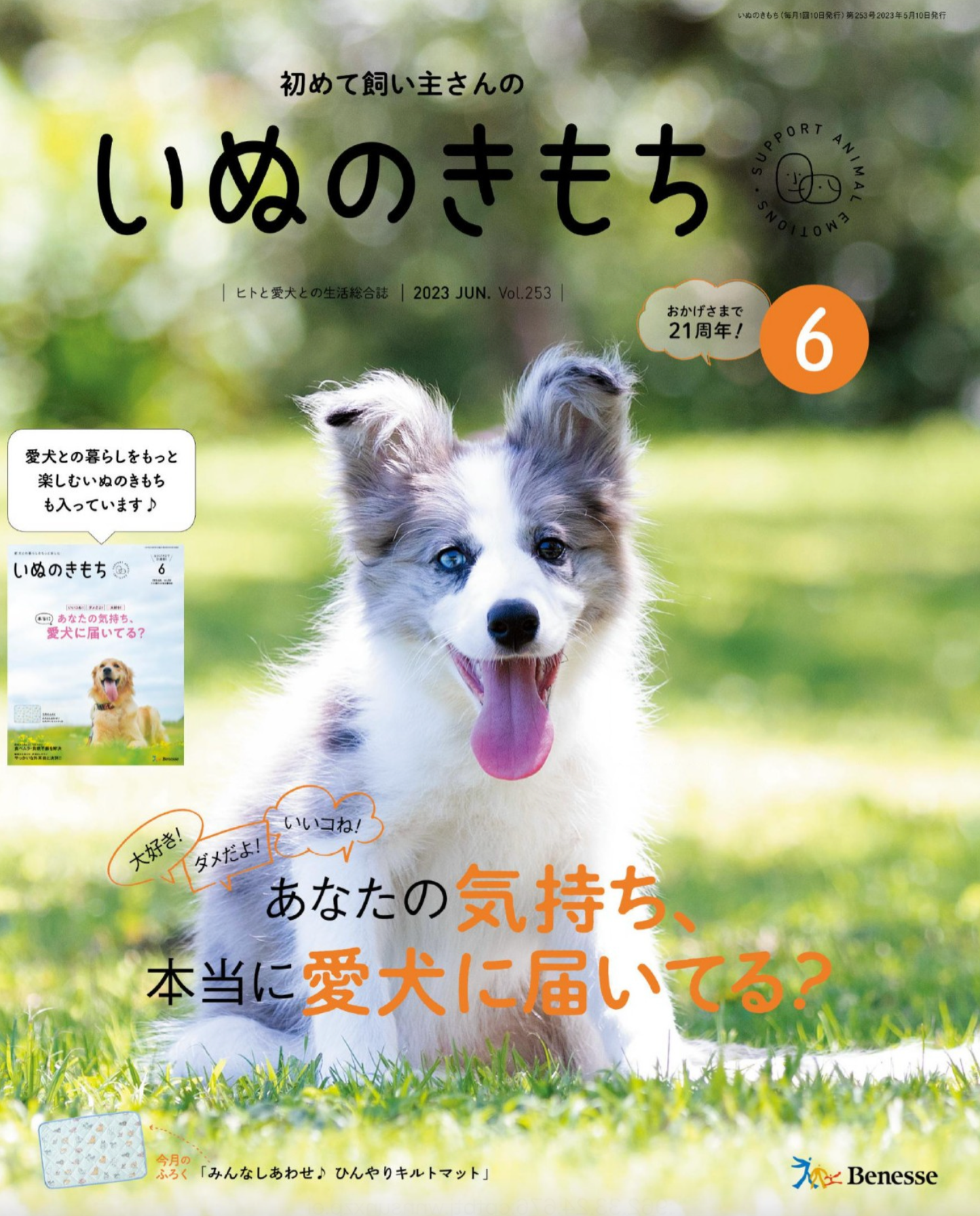 いぬのきもち　2014年6月号vol.145 いぬのきもち 2014年6月号vol.145 【公式通販】