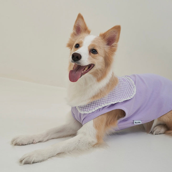 ※予約販売【Bailey】Cozy Sailor T-shirt（Lavender）