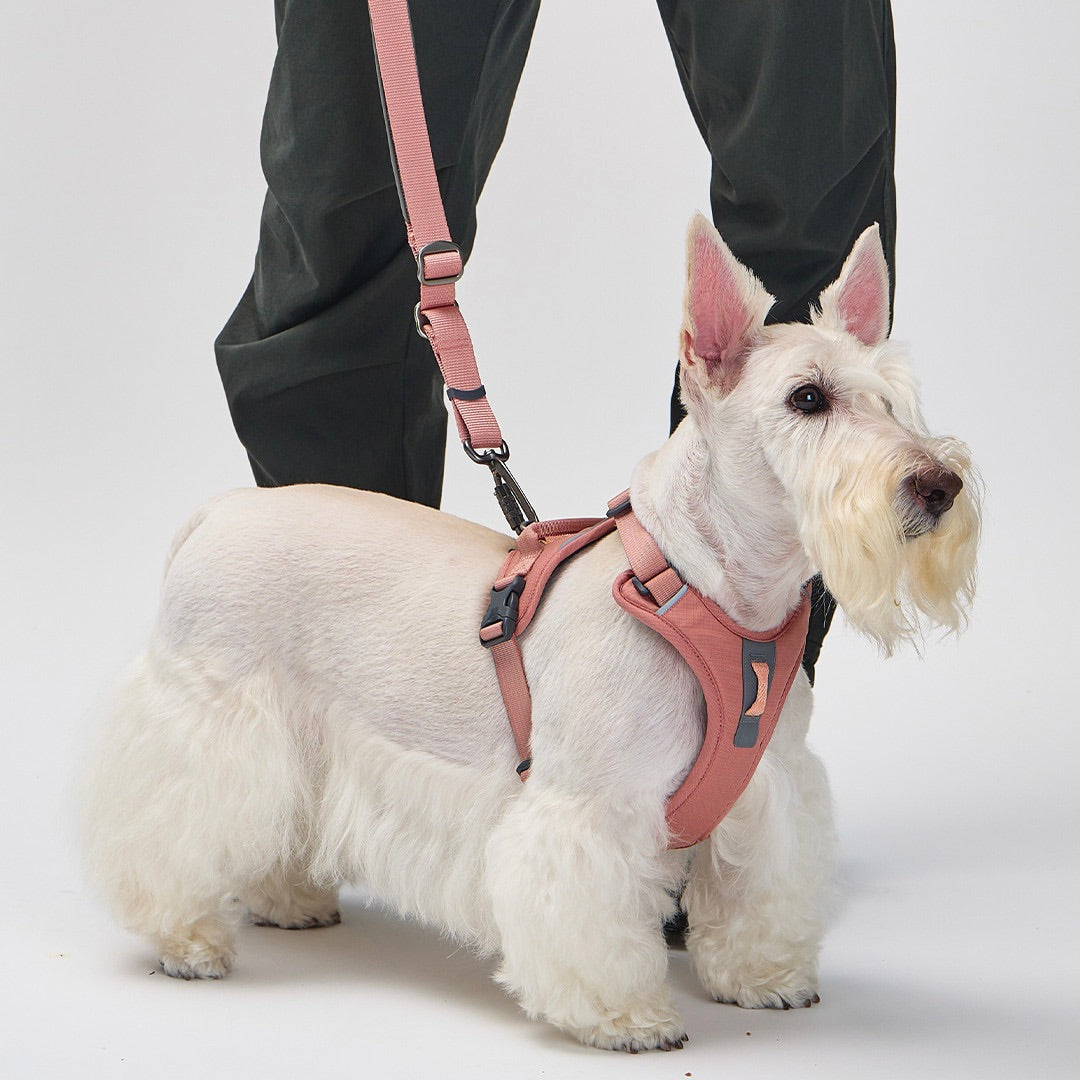 ※予約販売【munikund】REKTAIL Leash Hyper - Pink（25mm/1.8M）