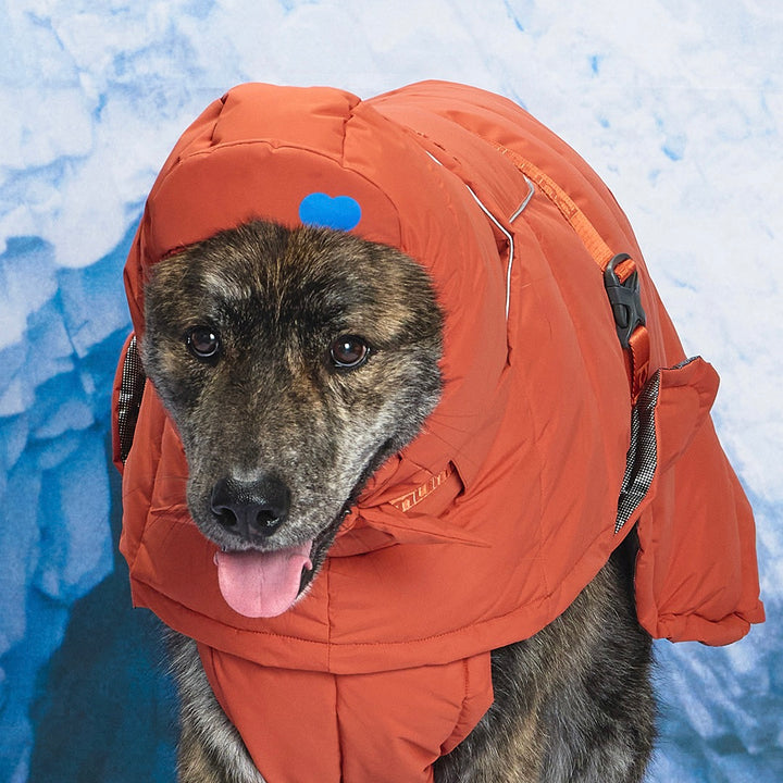 ※予約販売【munikund】Thermal Up Padding Air Cap 2 -（3 Colors）