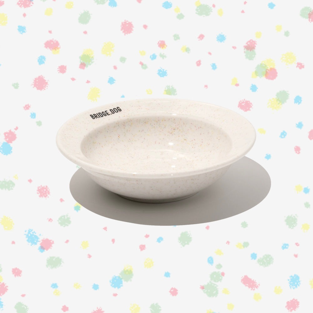 ※予約販売【BRIDGE.DOG】BRIDGE MINI DISH（COLOR POP）艶あり