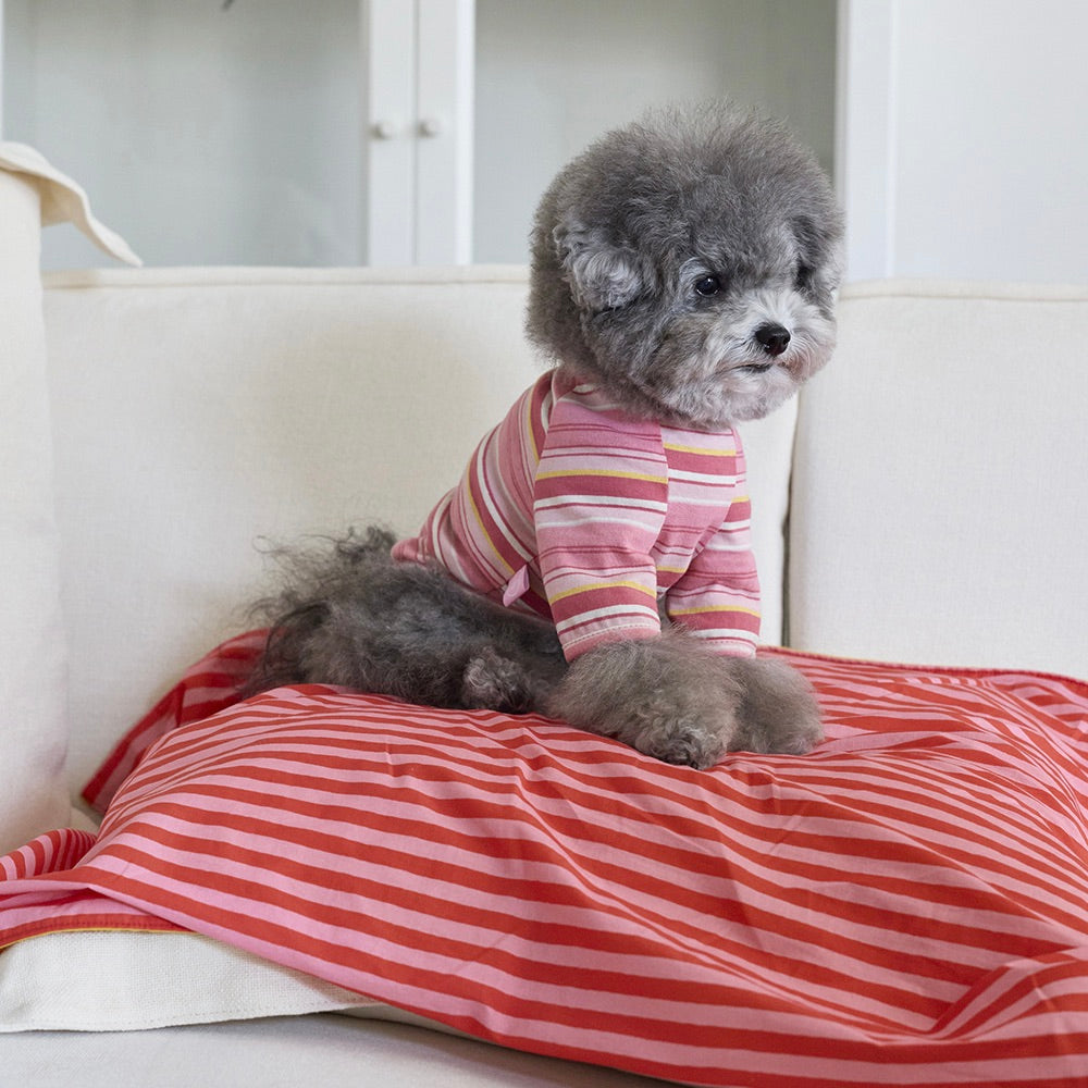 即納【noonoosoom】Love stripe chillingkit