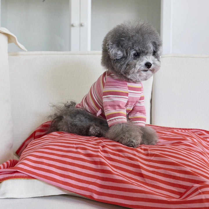 即納【noonoosoom】Love stripe chillingkit