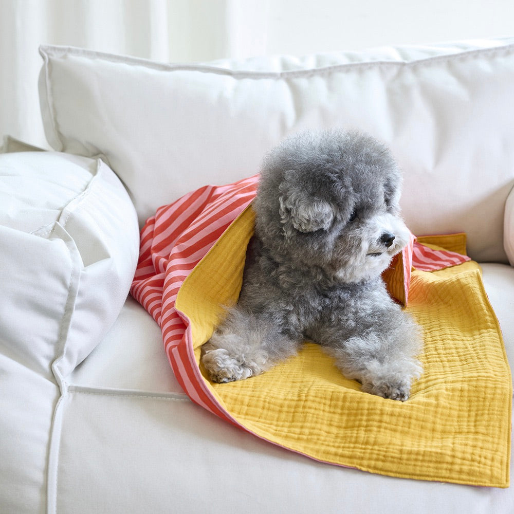 即納【noonoosoom】Love stripe chillingkit