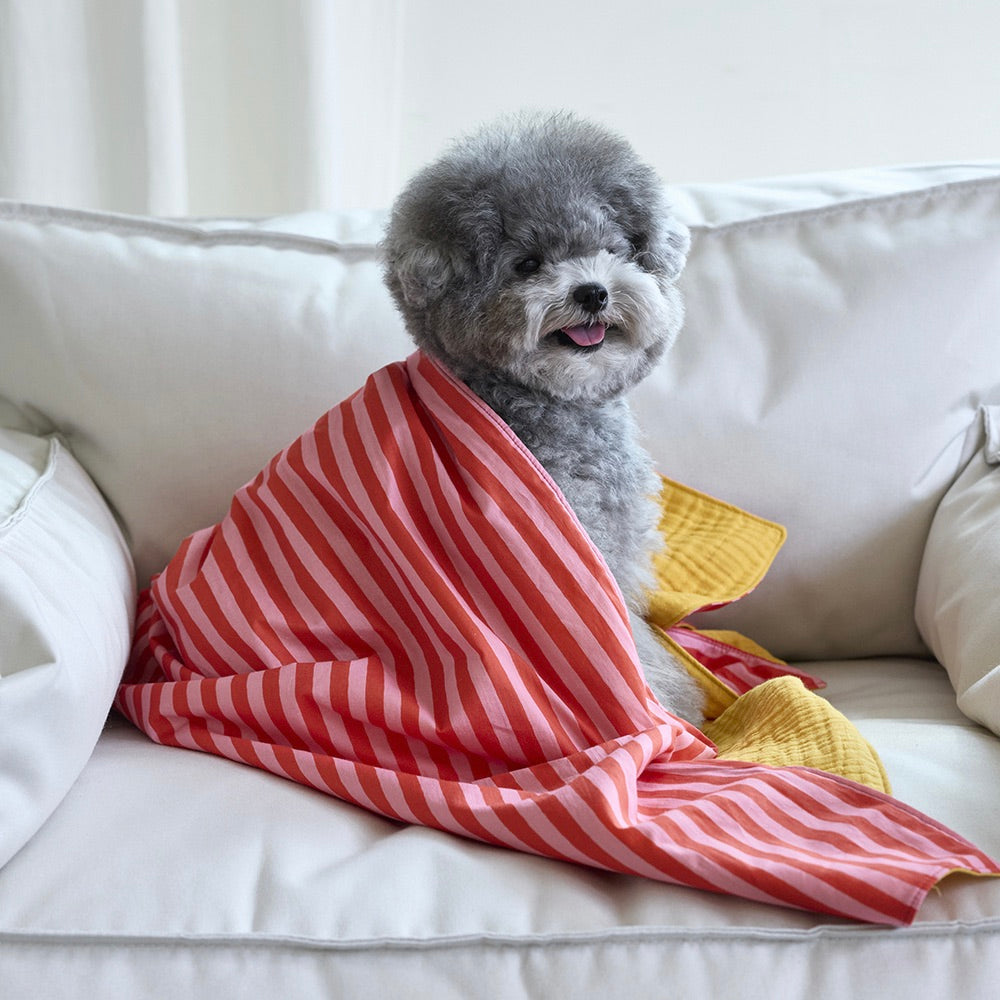 即納【noonoosoom】Love stripe chillingkit