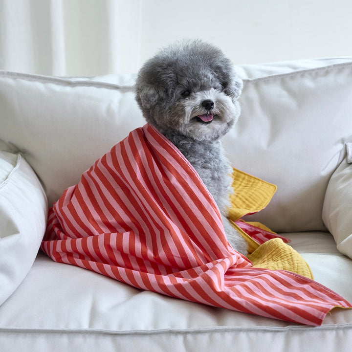即納【noonoosoom】Love stripe chillingkit