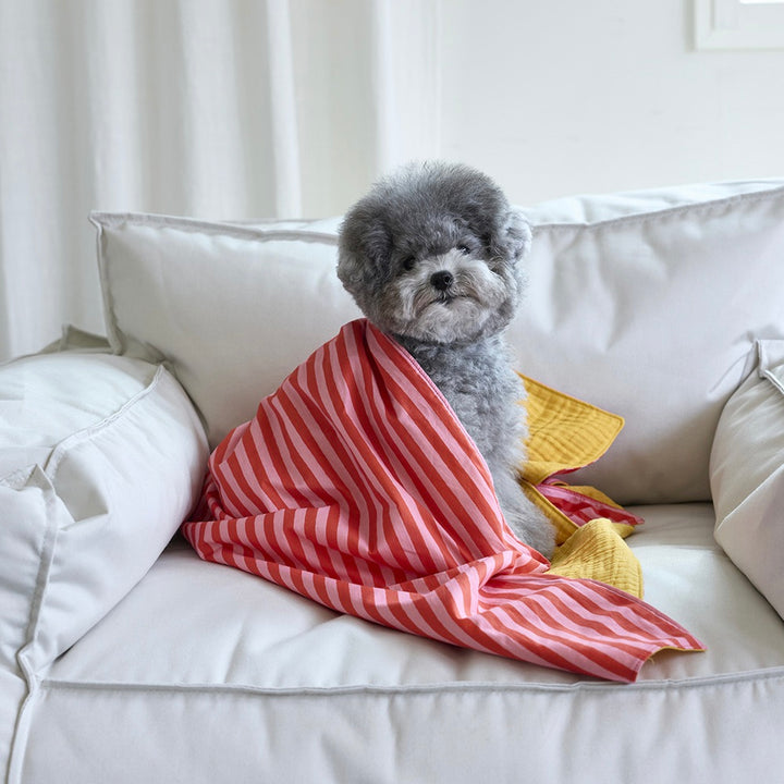 即納【noonoosoom】Love stripe chillingkit