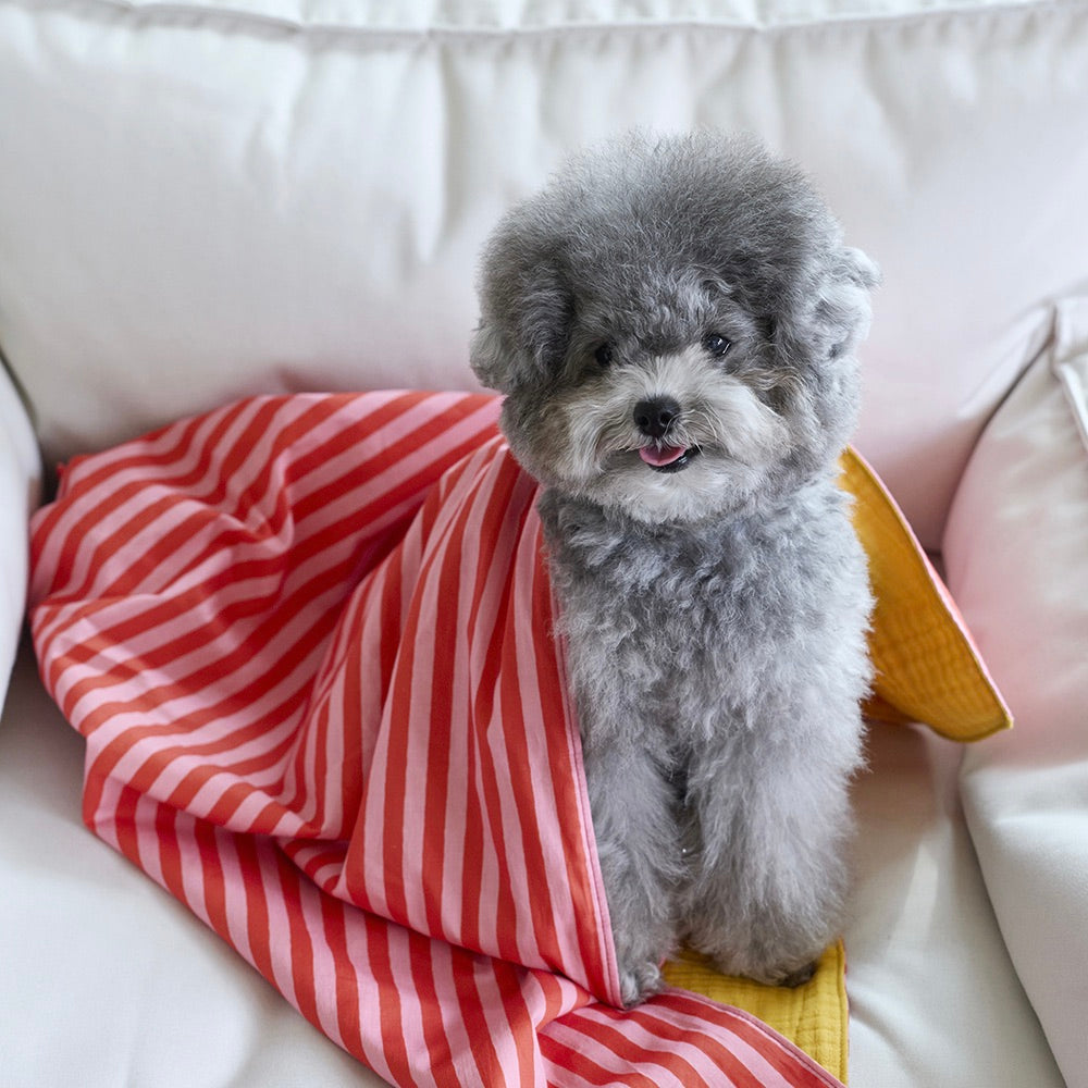 即納【noonoosoom】Love stripe chillingkit
