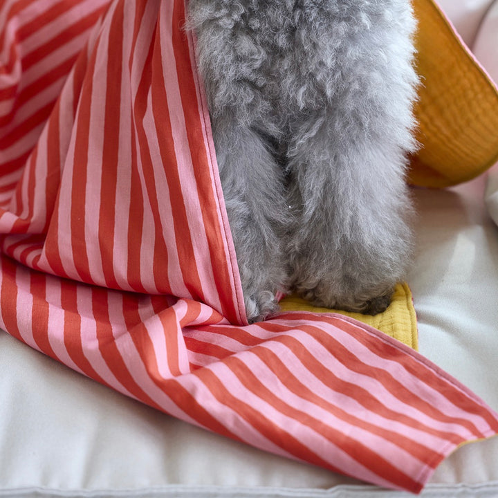 即納【noonoosoom】Love stripe chillingkit
