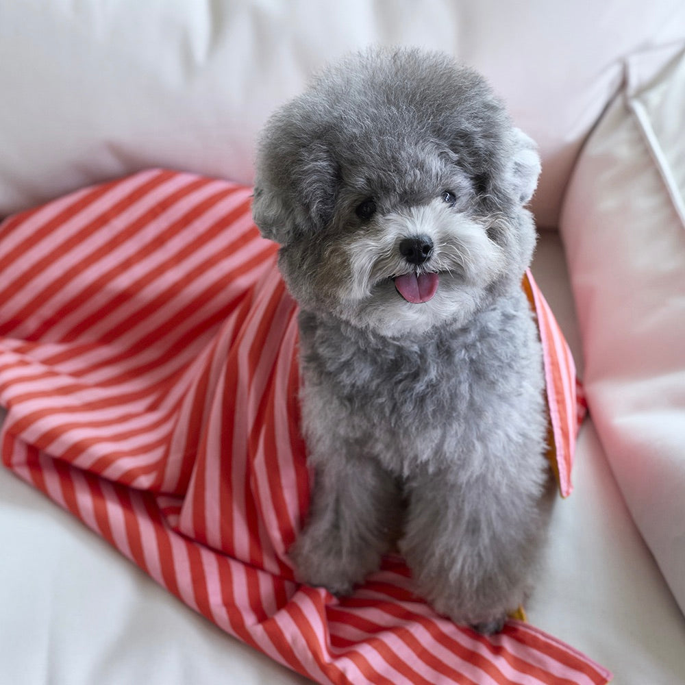 即納【noonoosoom】Love stripe chillingkit
