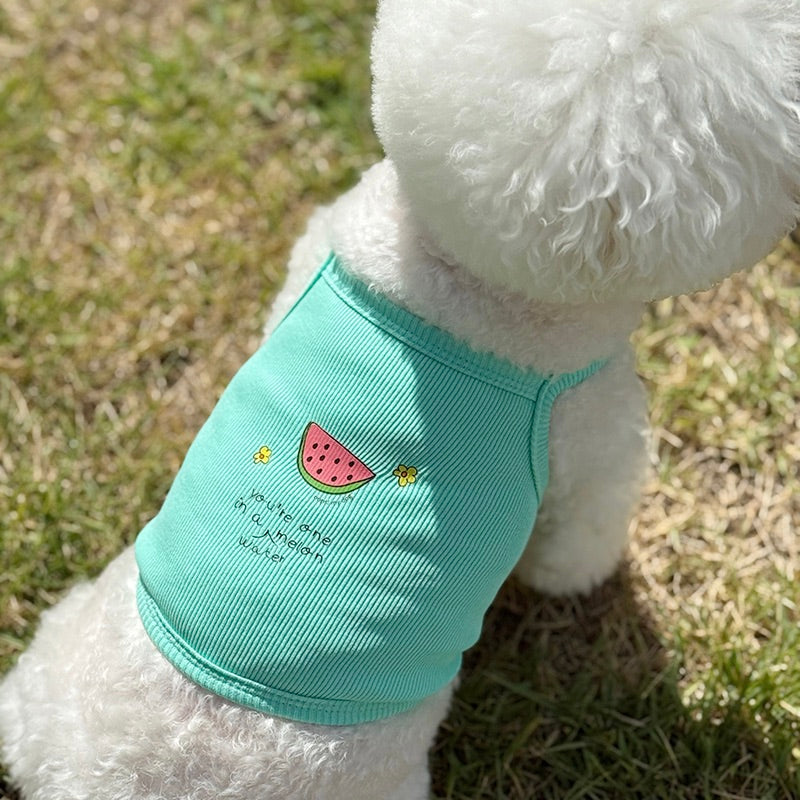 即納【OOPS! MY DOG】Tutti Fruitti Watermelon