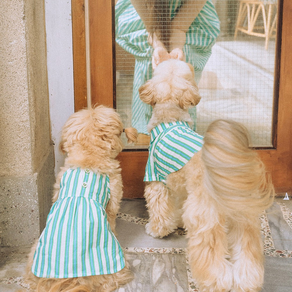 即納【noonoosoom】Stripe Dress（Green）