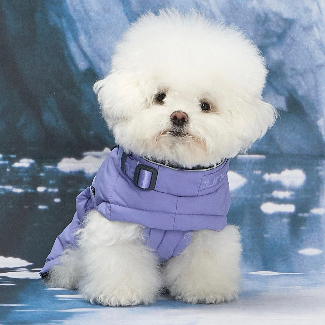 DOG GUARD AIR 犬服 S COSMOS MINT 【新商品情報】DOG GUARD AIR 11/7