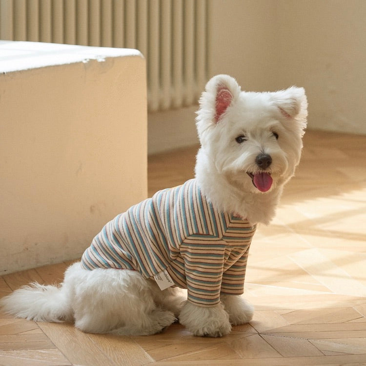 ※予約販売【andblank】A Stitch SoftWarm Stripe Short Sleeve（Ecru）