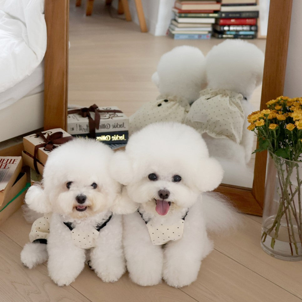 ※予約販売【near by us】corduroy dot crop top (cream)