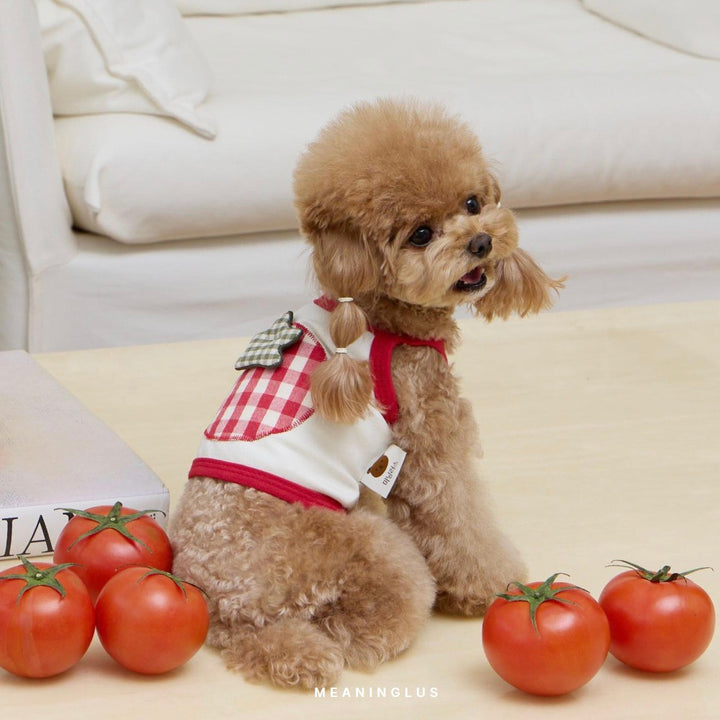 ※予約販売【meaningless】Tomato Crop