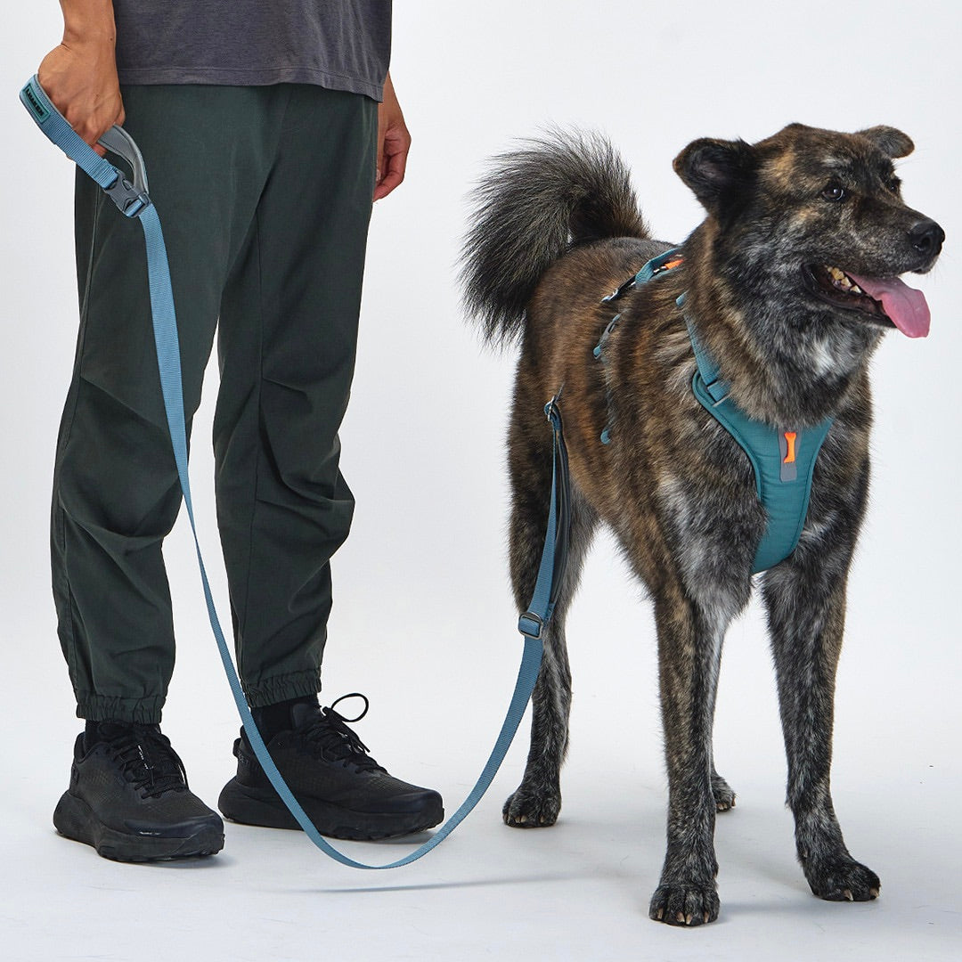 ※予約販売【munikund】TREKTAIL Harness - Khaki ｜犬用ハーネス