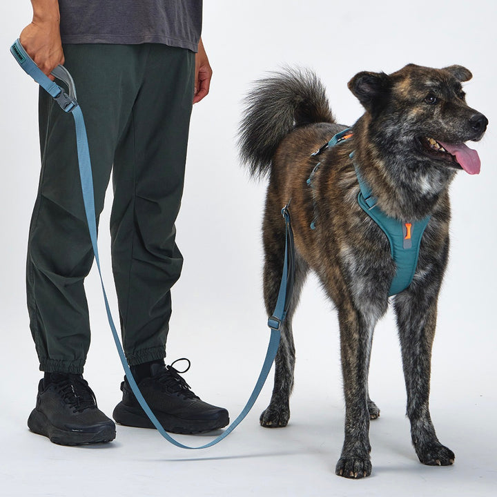 ※予約販売【munikund】TREKTAIL Harness - Khaki ｜犬用ハーネス