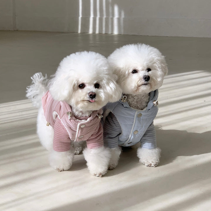 ※予約販売【DURANG RURANG】Teddy Bear Basic T（6color）