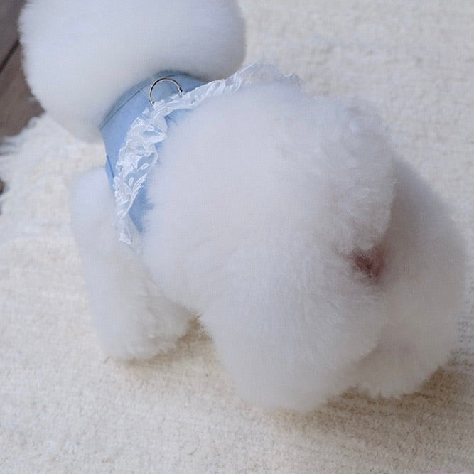 即納【BeBe Breath】Essential Harness（Denim）Leash Set｜犬用ハーネス