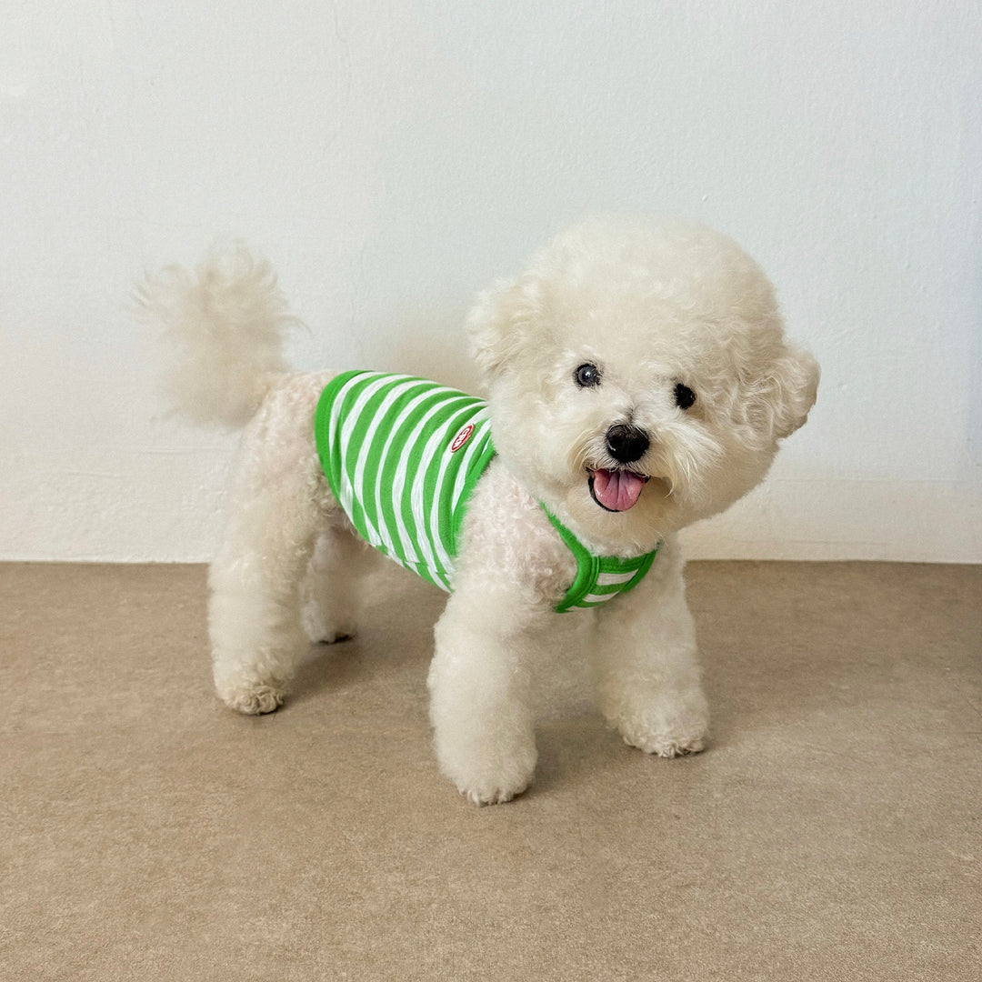 ※予約販売【CRR】Marine Stripe Strap Top（Green）