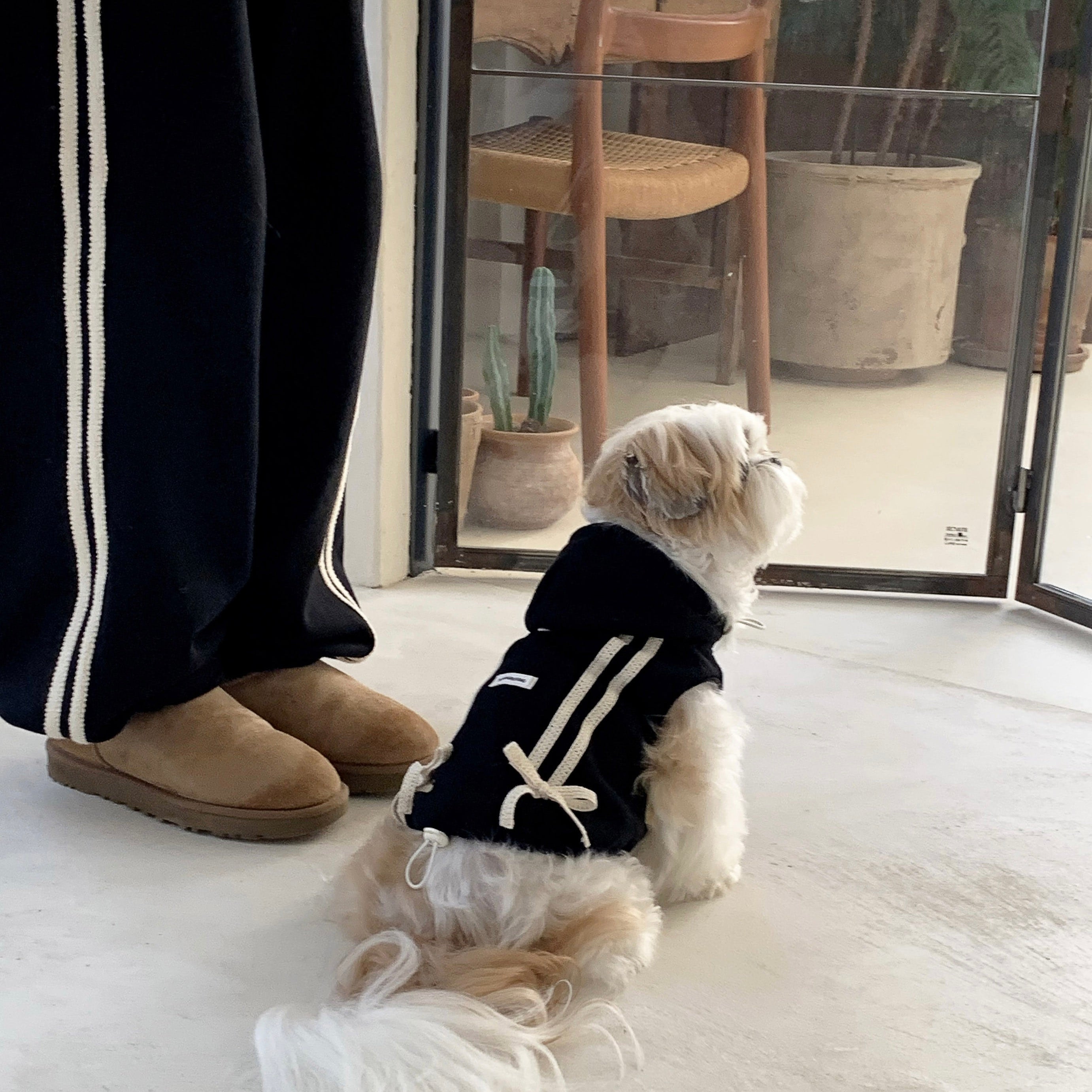 犬服・アクセサリー DURANG RURANG Ribbon Jacket Jogger Pants 海外犬服 高品質なインポートのドッグウェア通販 