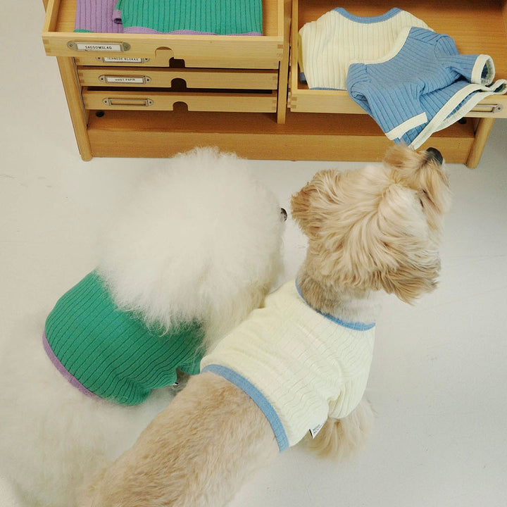 即納【noonoosoom】All day crop top（Sky）