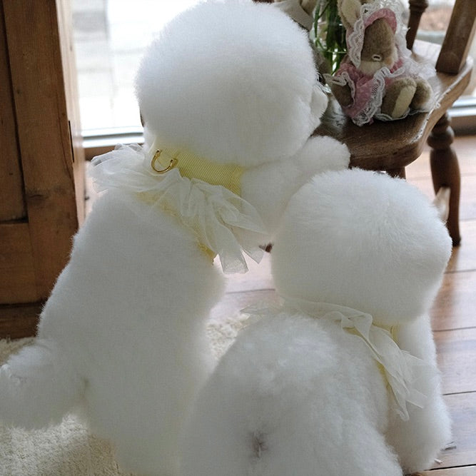 即納【BeBe Breath】Essential Harness（Yellow）Leash Set｜犬用ハーネス