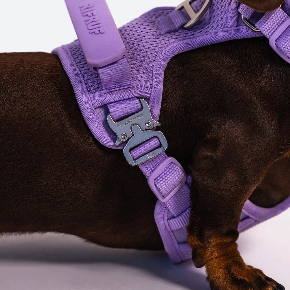 海外犬服 高品質なインポートのドッグウェア通販 