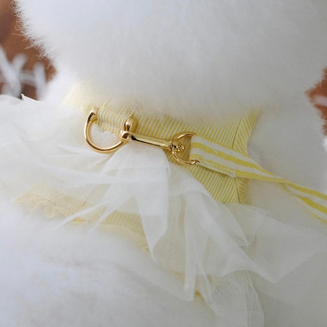 即納【BeBe Breath】Essential Harness（Yellow）Leash Set｜犬用ハーネス