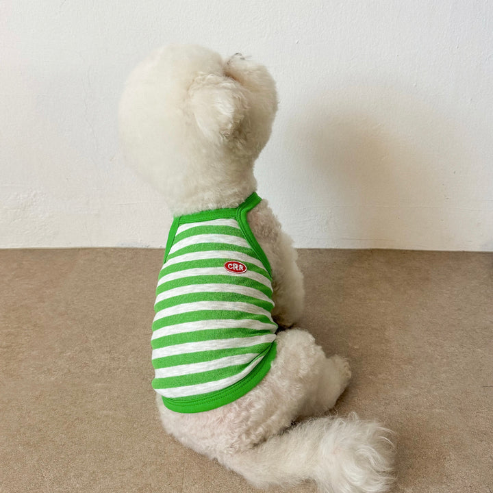 ※予約販売【CRR】Marine Stripe Strap Top（Green）