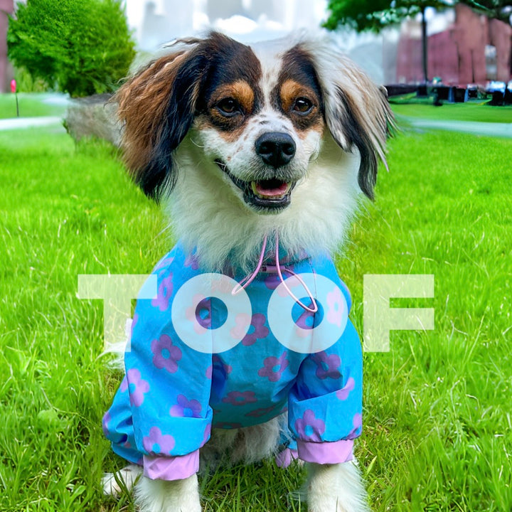 ※予約販売【TOOF】ALL IN ONE RAINCOAT