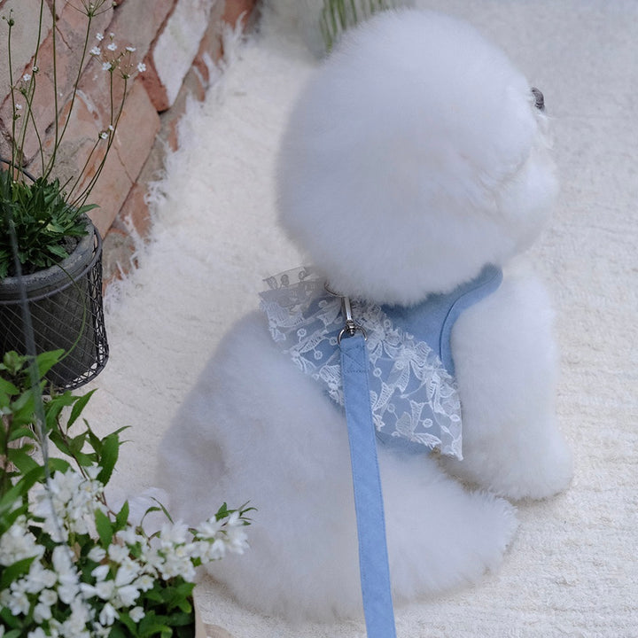 即納【BeBe Breath】Essential Harness（Denim）Leash Set｜犬用ハーネス